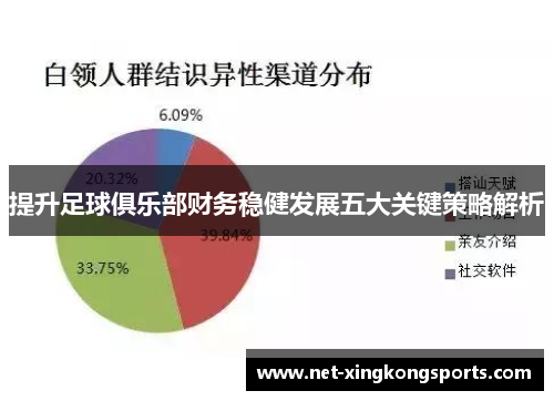 提升足球俱乐部财务稳健发展五大关键策略解析
