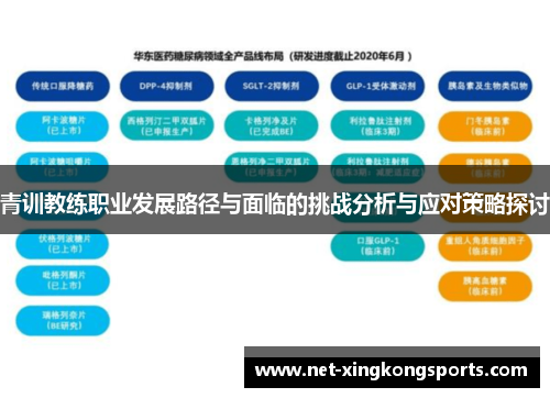 青训教练职业发展路径与面临的挑战分析与应对策略探讨