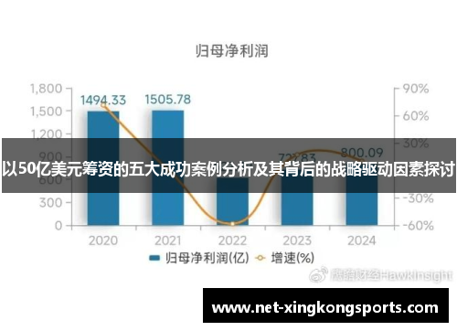 以50亿美元筹资的五大成功案例分析及其背后的战略驱动因素探讨