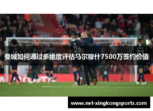 曼城如何通过多维度评估马尔穆什7500万签约价值