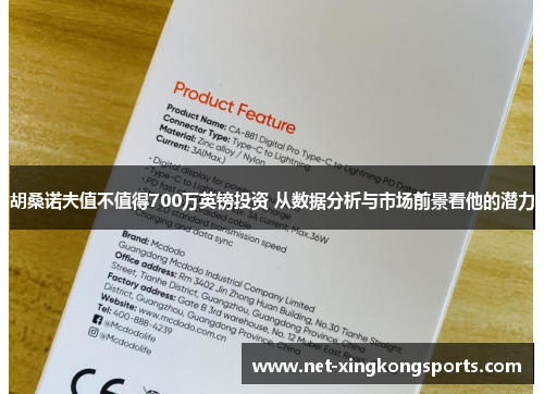 胡桑诺夫值不值得700万英镑投资 从数据分析与市场前景看他的潜力