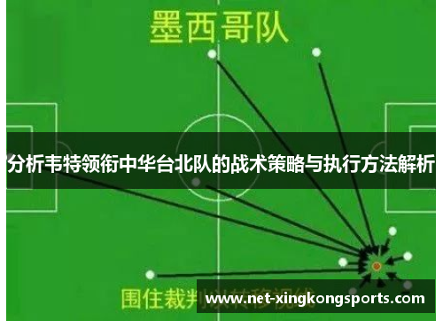 分析韦特领衔中华台北队的战术策略与执行方法解析