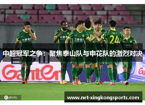 中超冠军之争：聚焦泰山队与申花队的激烈对决