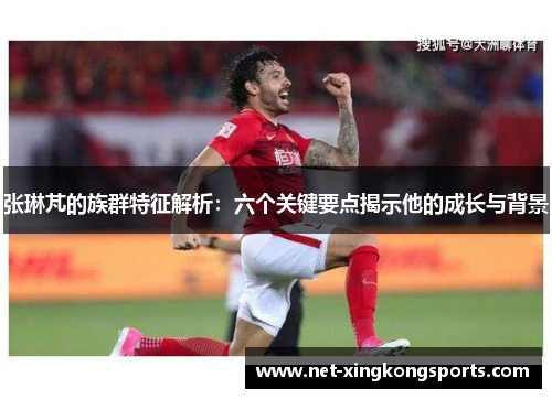 张琳芃的族群特征解析：六个关键要点揭示他的成长与背景