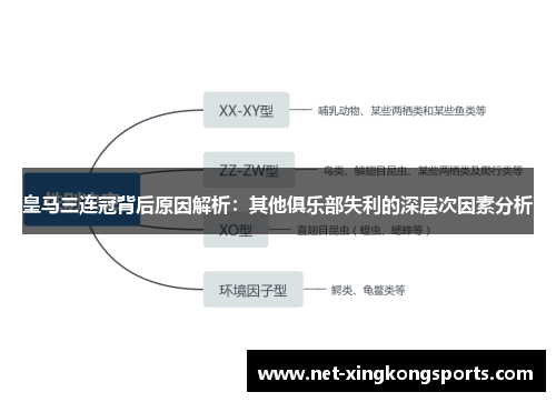 皇马三连冠背后原因解析：其他俱乐部失利的深层次因素分析