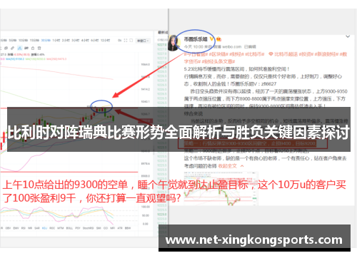 比利时对阵瑞典比赛形势全面解析与胜负关键因素探讨